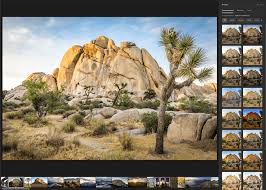 Adobe Lightroom Review 2026: Is It Still Worth It for Photographers?
