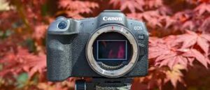 Canon EOS R8 Review: The Affordable Full-Frame Mirrorless Option for 2026