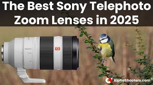 Sony E-Mount Lens Guide for Beginners in 2026 (Complete Buying Guide)