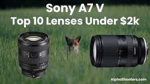 Sony E-Mount Lens Guide for Beginners in 2026 (Complete Buying Guide)