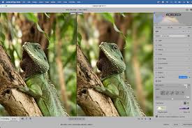 Best RAW Image Processing Software for Professionals in 2026