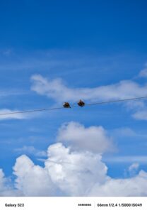 Minimalist Photography Style Analysis: Why Less Is More
