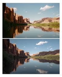Film vs Digital Photography Case Study: Real Visual Differences Explained