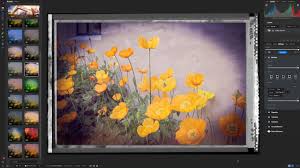 Best Photo Editing Software in 2026 (Free & Paid Options Compared)