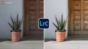 Best Lightroom Presets in 2026 (Free vs Paid Packs Compared)
