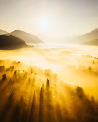 Minimalist Photography Style Analysis: Why Less Is More