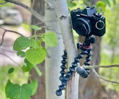 Best Tripods for Photography and Video in 2026 (Complete Buying Guide)