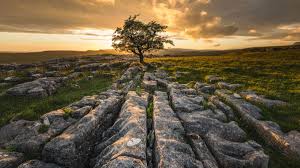 Best Wide-Angle Lenses for Landscape Photography in 2026 (Ultimate Guide)